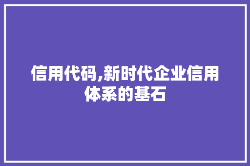 信用代码,新时代企业信用体系的基石