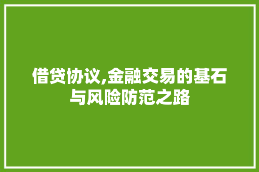 借贷协议,金融交易的基石与风险防范之路 Vue.js