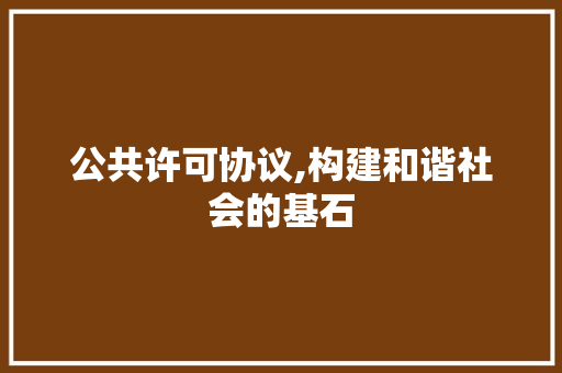 公共许可协议,构建和谐社会的基石