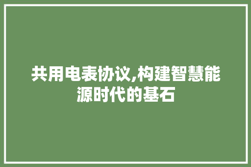 共用电表协议,构建智慧能源时代的基石 CSS