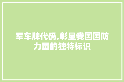 军车牌代码,彰显我国国防力量的独特标识