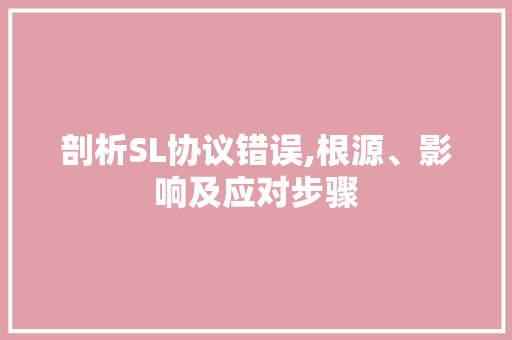 剖析SL协议错误,根源、影响及应对步骤