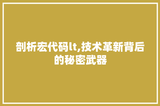 剖析宏代码lt,技术革新背后的秘密武器