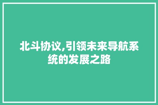 北斗协议,引领未来导航系统的发展之路 CSS