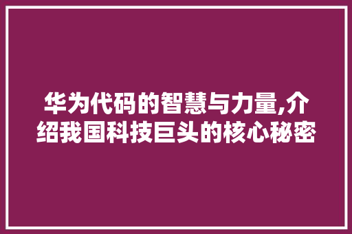 华为代码的智慧与力量,介绍我国科技巨头的核心秘密