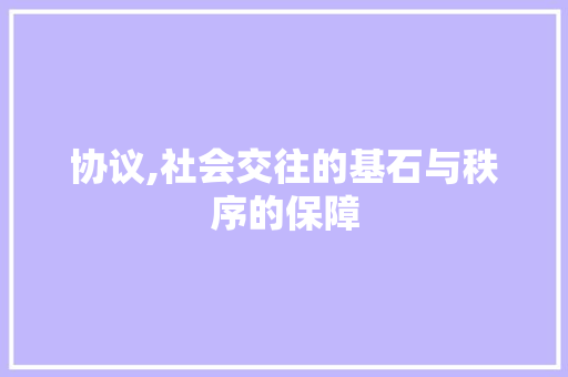 协议,社会交往的基石与秩序的保障 SQL