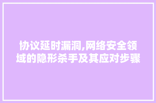 协议延时漏洞,网络安全领域的隐形杀手及其应对步骤