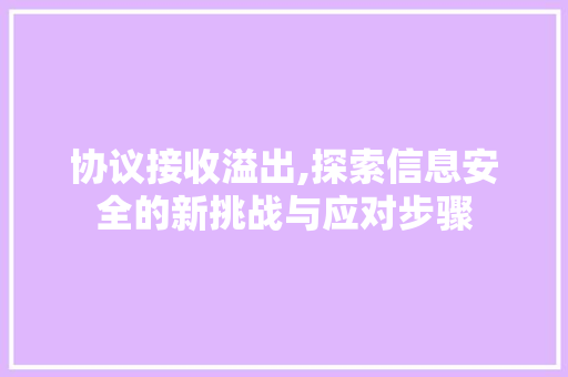 协议接收溢出,探索信息安全的新挑战与应对步骤