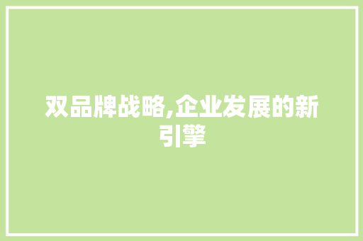 双品牌战略,企业发展的新引擎