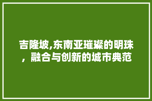 吉隆坡,东南亚璀璨的明珠，融合与创新的城市典范