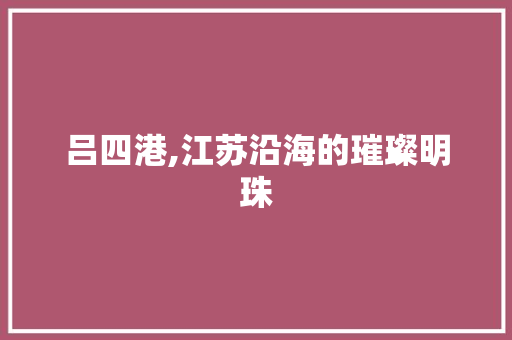 吕四港,江苏沿海的璀璨明珠 AJAX