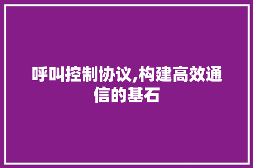 呼叫控制协议,构建高效通信的基石