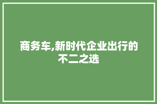 商务车,新时代企业出行的不二之选