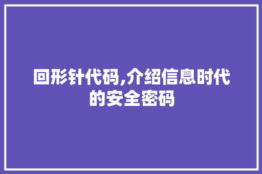 回形针代码,介绍信息时代的安全密码