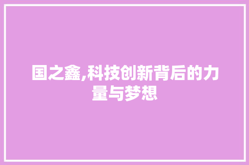 国之鑫,科技创新背后的力量与梦想