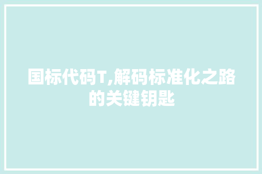 国标代码T,解码标准化之路的关键钥匙