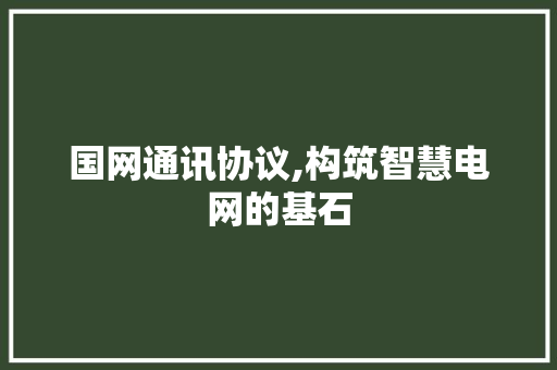 国网通讯协议,构筑智慧电网的基石