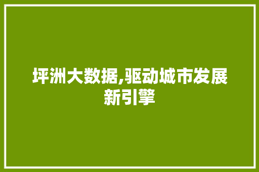 坪洲大数据,驱动城市发展新引擎