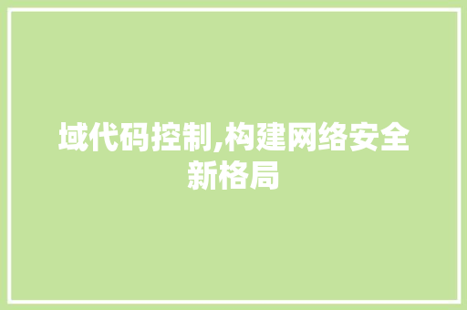 域代码控制,构建网络安全新格局