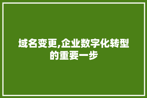 域名变更,企业数字化转型的重要一步