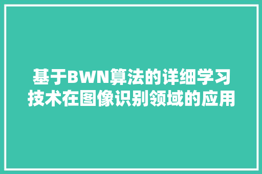 基于BWN算法的详细学习技术在图像识别领域的应用与展望