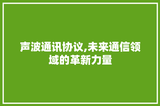 声波通讯协议,未来通信领域的革新力量