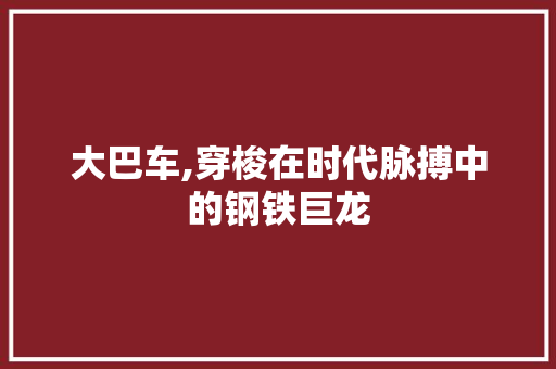 大巴车,穿梭在时代脉搏中的钢铁巨龙