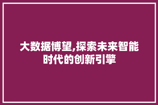 大数据博望,探索未来智能时代的创新引擎