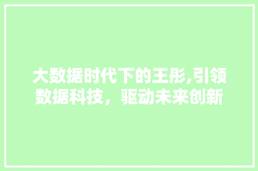 大数据时代下的王彤,引领数据科技，驱动未来创新