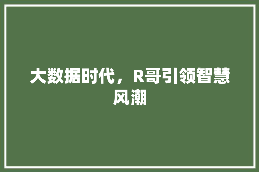 大数据时代，R哥引领智慧风潮