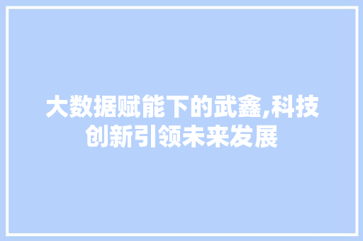 大数据赋能下的武鑫,科技创新引领未来发展