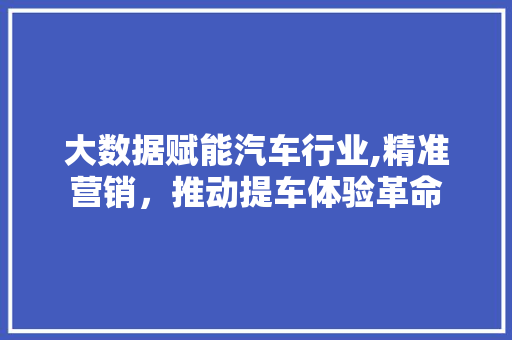 大数据赋能汽车行业,精准营销，推动提车体验革命