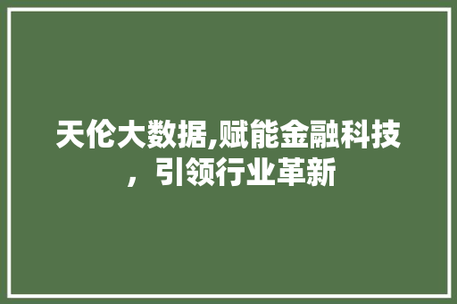 天伦大数据,赋能金融科技，引领行业革新