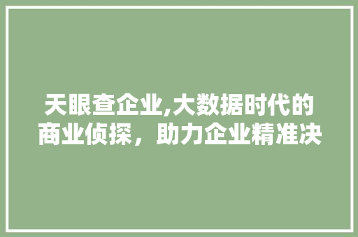 天眼查企业,大数据时代的商业侦探，助力企业精准决策