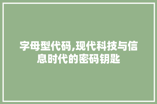 字母型代码,现代科技与信息时代的密码钥匙