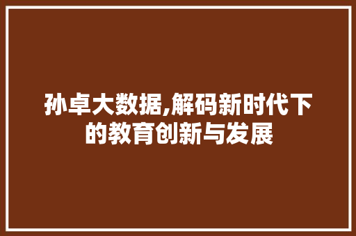 孙卓大数据,解码新时代下的教育创新与发展