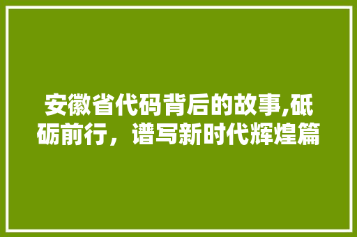 安徽省代码背后的故事,砥砺前行，谱写新时代辉煌篇章