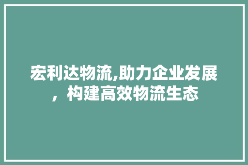 宏利达物流,助力企业发展，构建高效物流生态