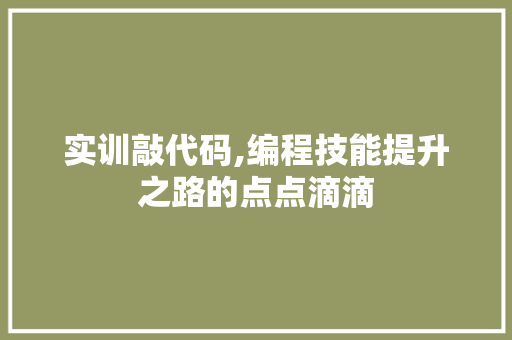 实训敲代码,编程技能提升之路的点点滴滴