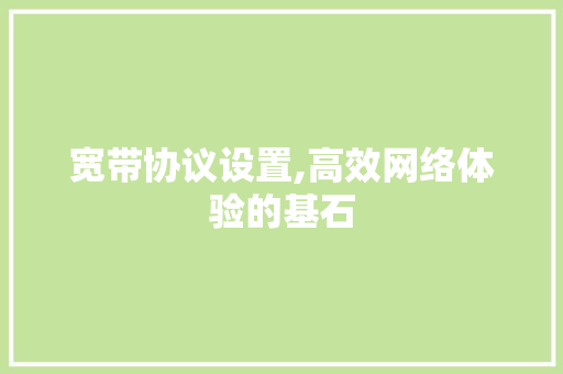 宽带协议设置,高效网络体验的基石