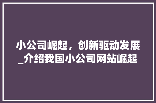 小公司崛起，创新驱动发展_介绍我国小公司网站崛起背后的故事