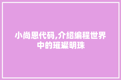 小尚恩代码,介绍编程世界中的璀璨明珠