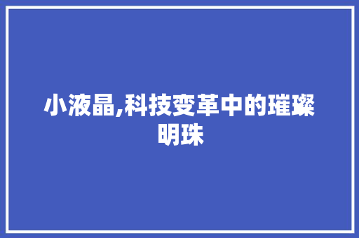 小液晶,科技变革中的璀璨明珠