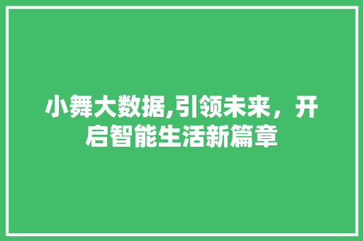 小舞大数据,引领未来，开启智能生活新篇章 Ruby