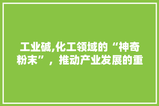 工业碱,化工领域的“神奇粉末”，推动产业发展的重要元素 Vue.js