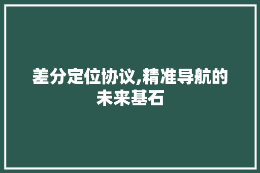 差分定位协议,精准导航的未来基石