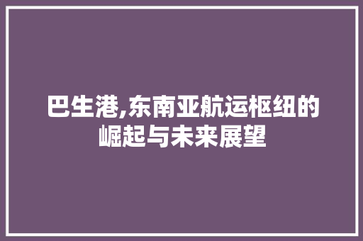 巴生港,东南亚航运枢纽的崛起与未来展望