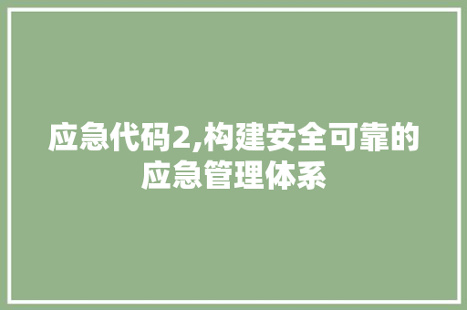 应急代码2,构建安全可靠的应急管理体系