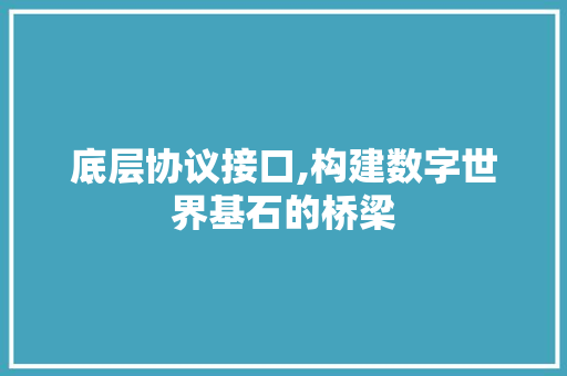 底层协议接口,构建数字世界基石的桥梁