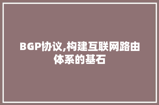 BGP协议,构建互联网路由体系的基石